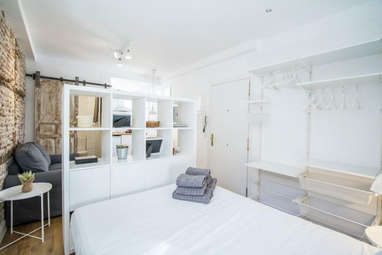 Coqueto Loft En El Centro De Madrid