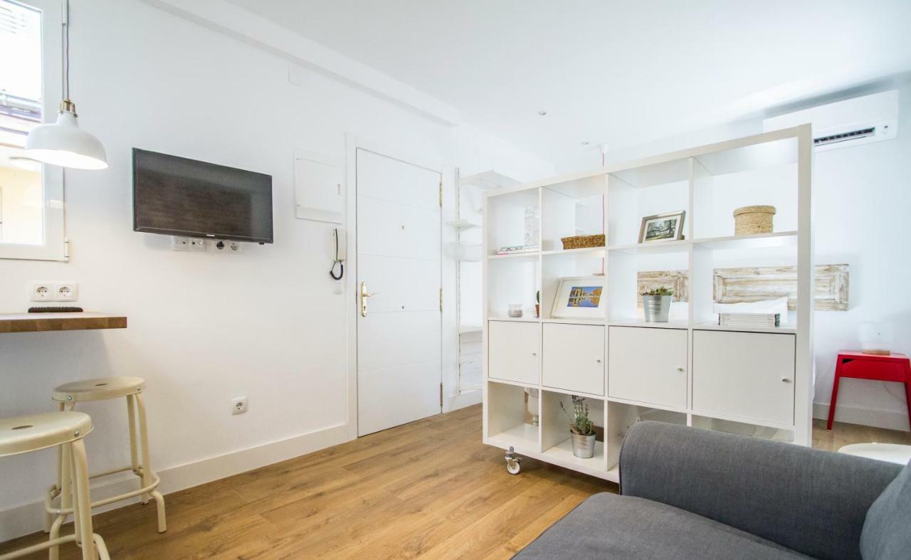 Coqueto Loft En El Centro De Madrid